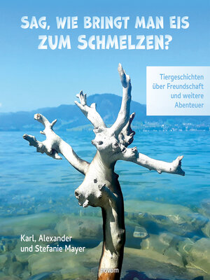 cover image of Sag, wie bringt man Eis zum Schmelzen?